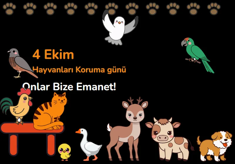 4 Ekim Hayvanları Koruma Günü — Sınıf Panosu